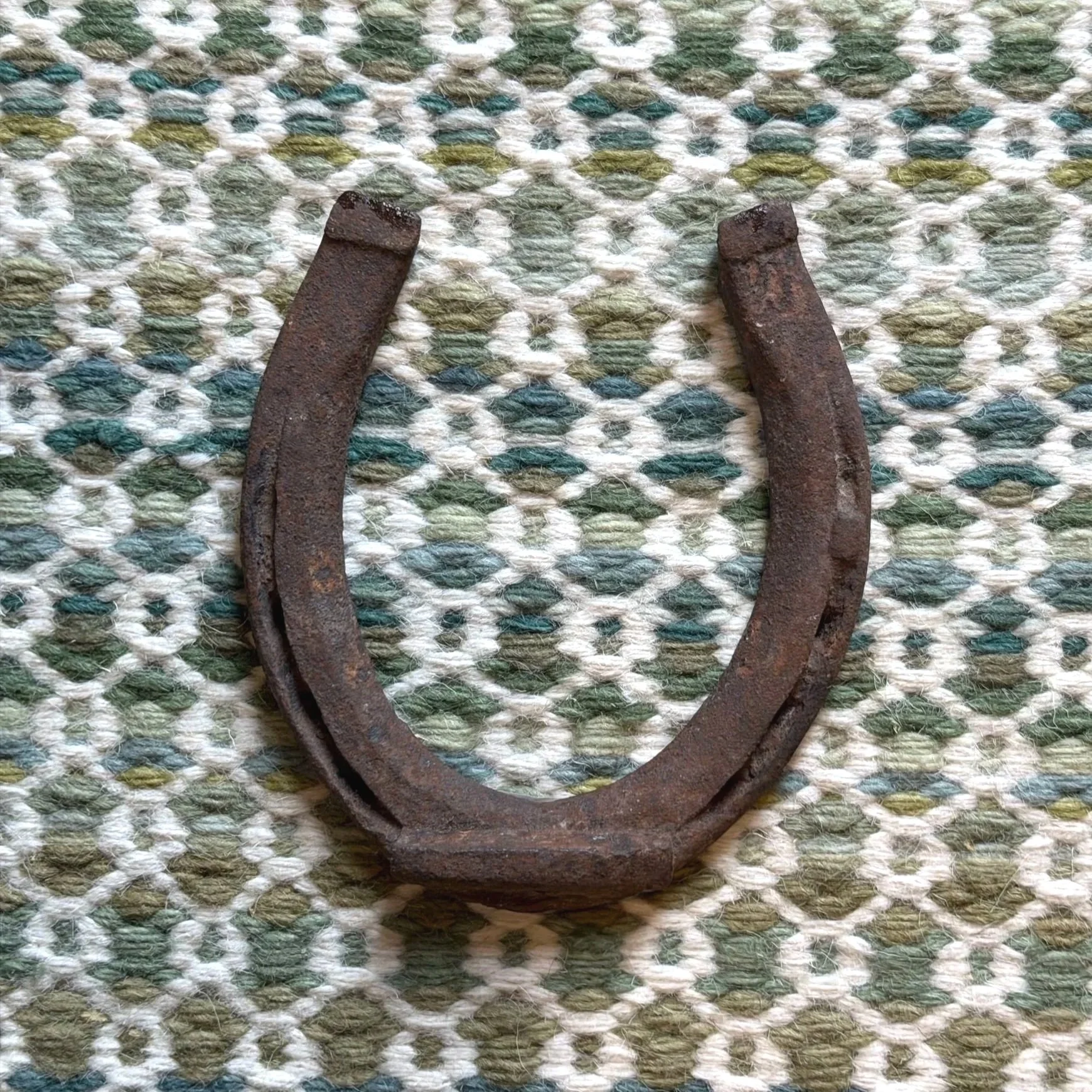 Vintage Horse Shoe