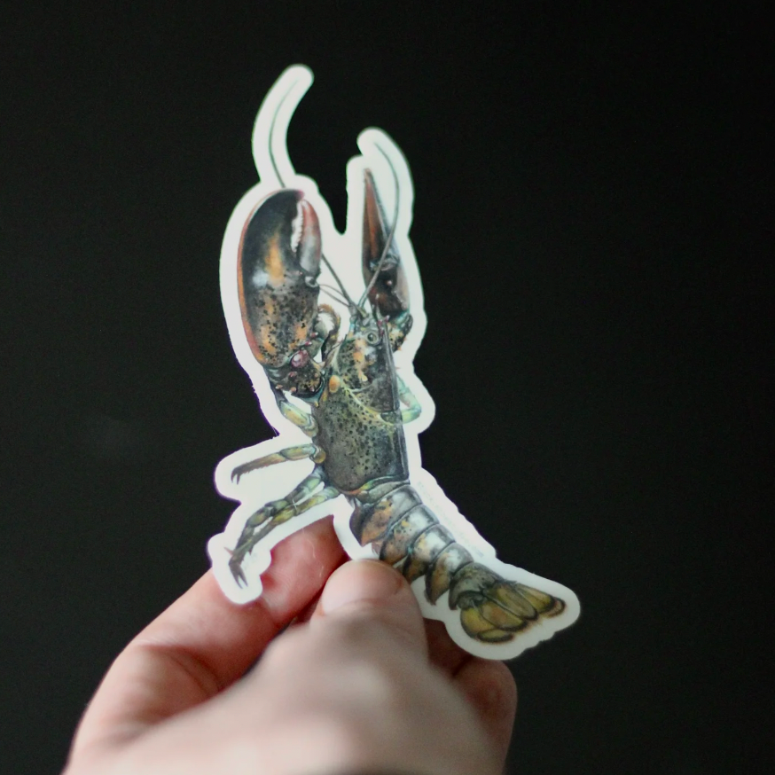 Lobster+Sticker+-+scale+shot.png