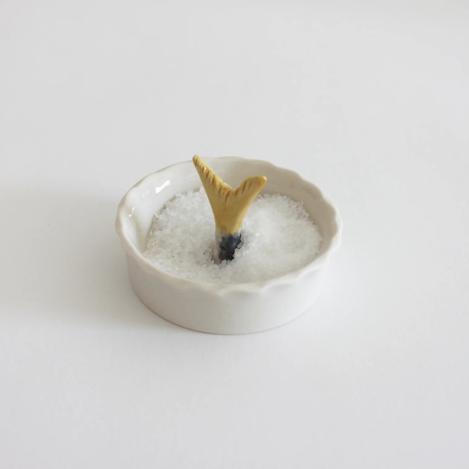 Sardine Tail Salt Dish