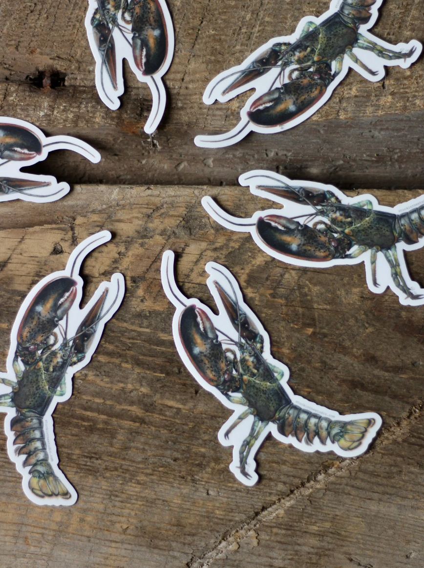 Lobster Sticker