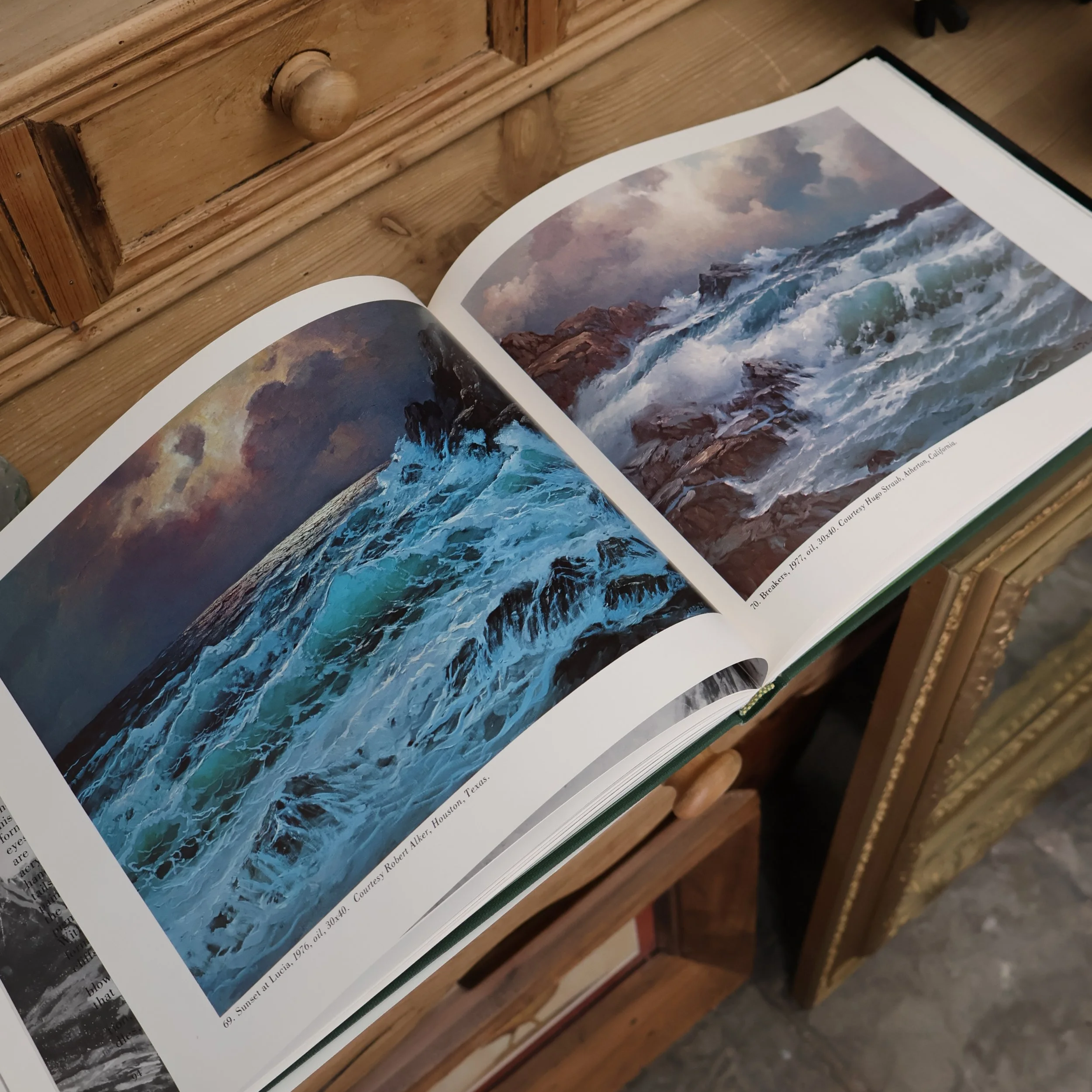 Alexander+Dzgurski+Book+-+spead+shot.png
