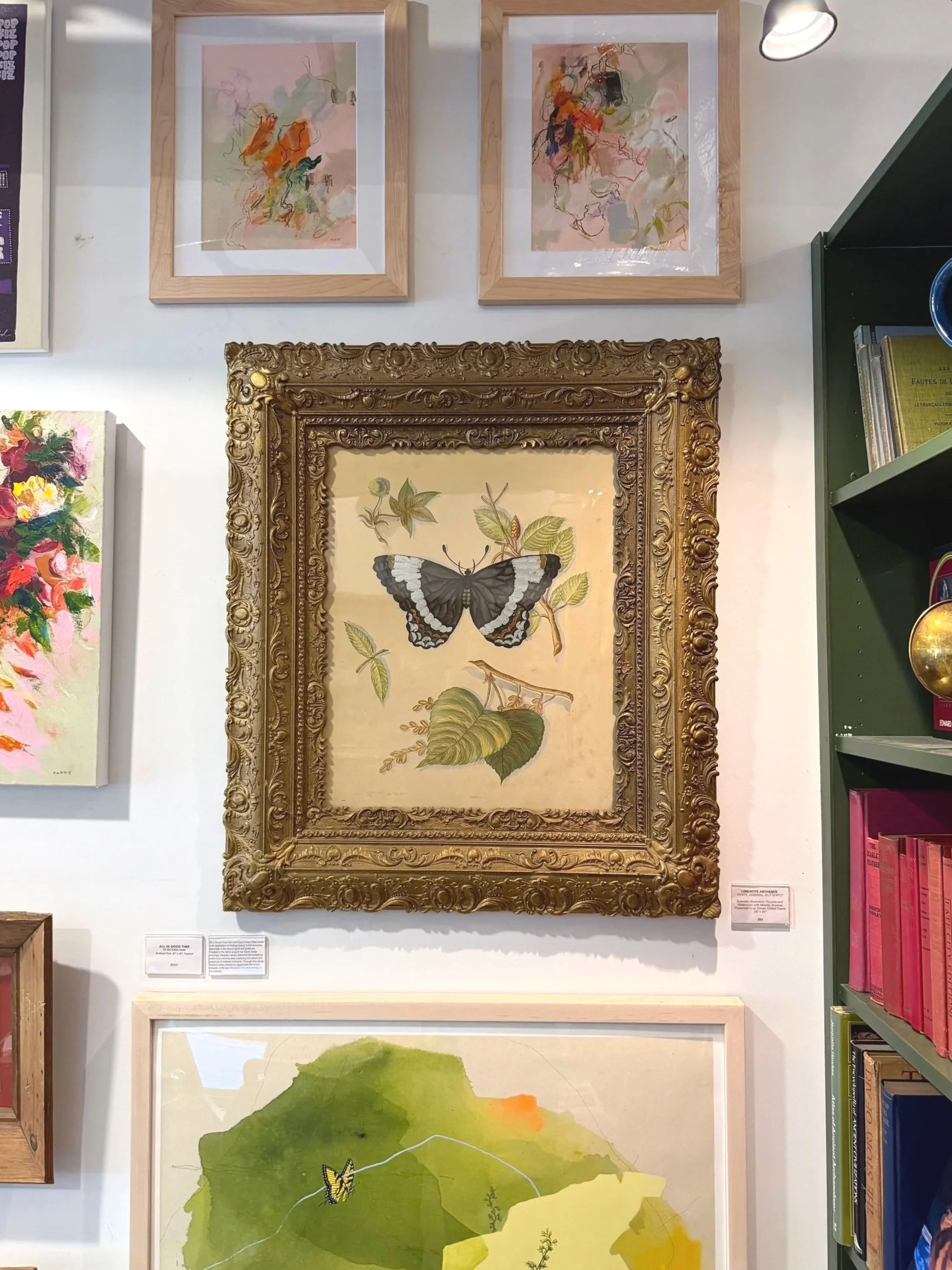 "Limenitis Arthemis" White Admiral Butterfly Painting in Gold Frame