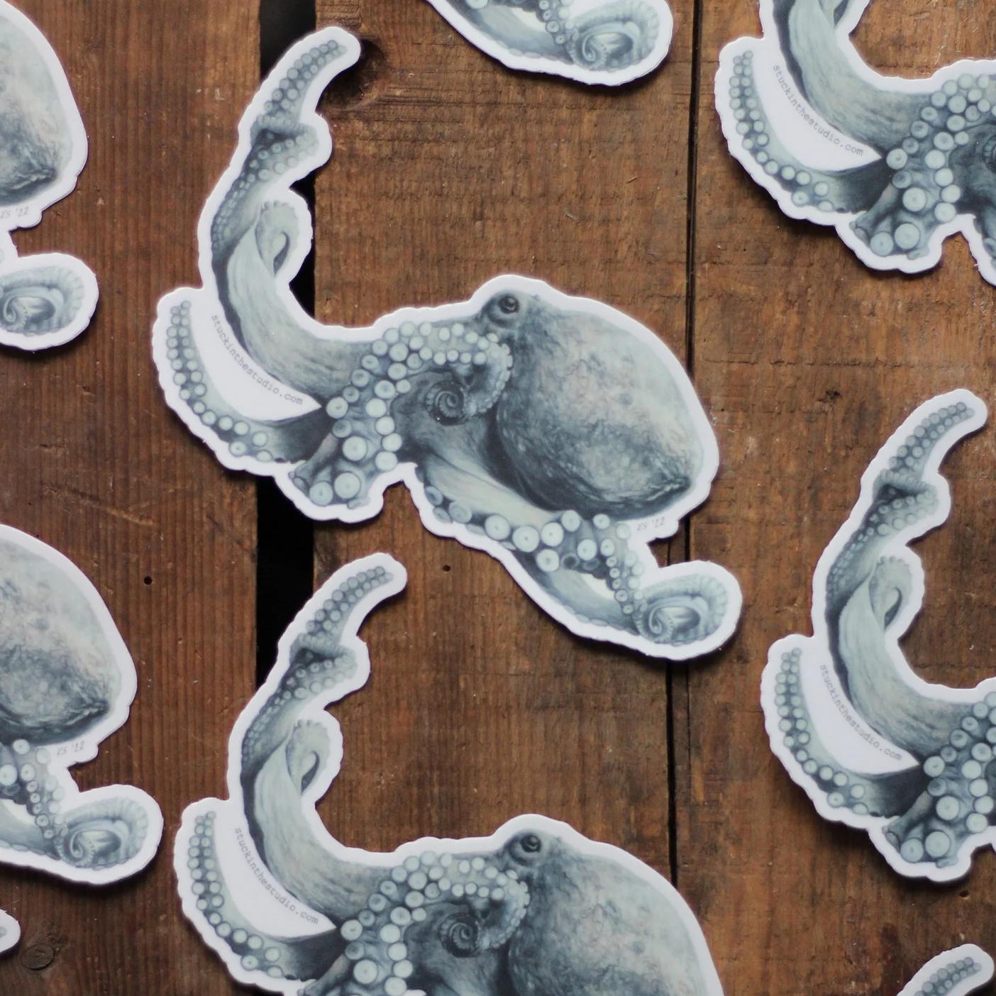 Octopus+Sticker+-+main+shot.png