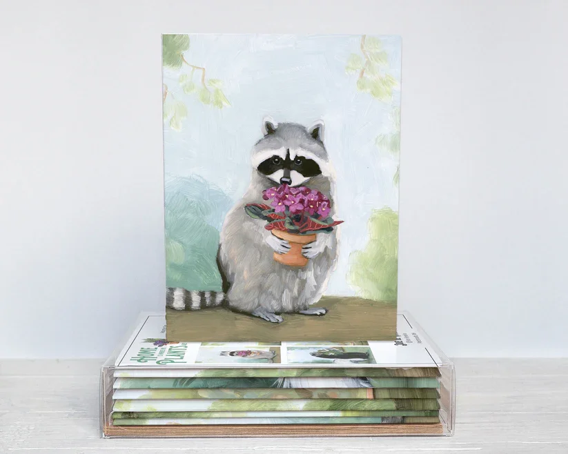 House-Plants-Box-Set-of-6-Greeting-Cards-Raccoon-African-Violet.webp