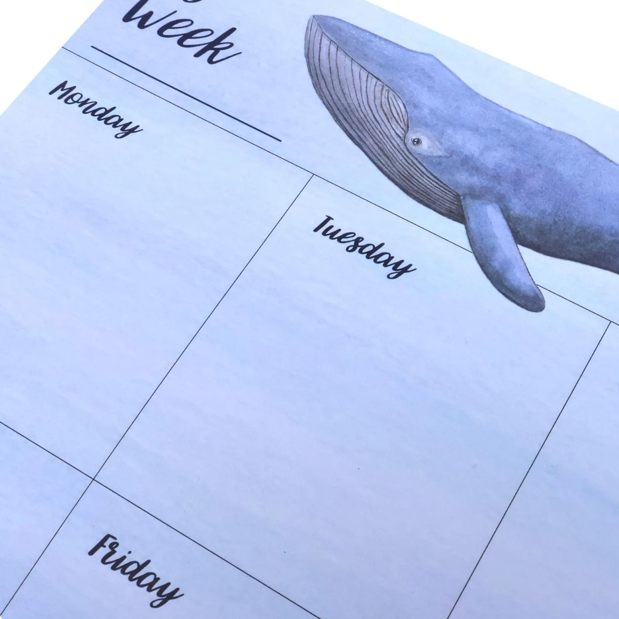 Whale+Desk+Pad+-+detail+shot.png