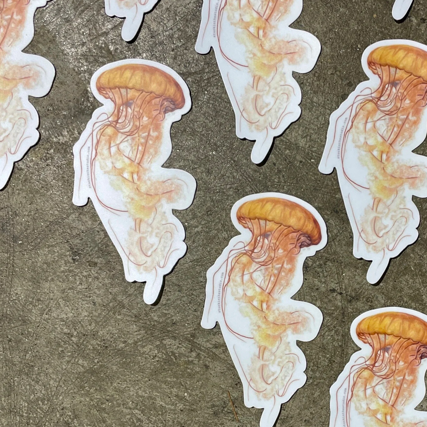 Jellyfish+Sticker+-+main+shot.png