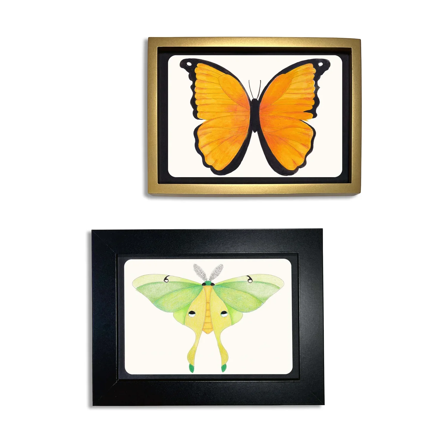 EU_Coloring_Postcards-butterfly-Ls2-sq_1.webp