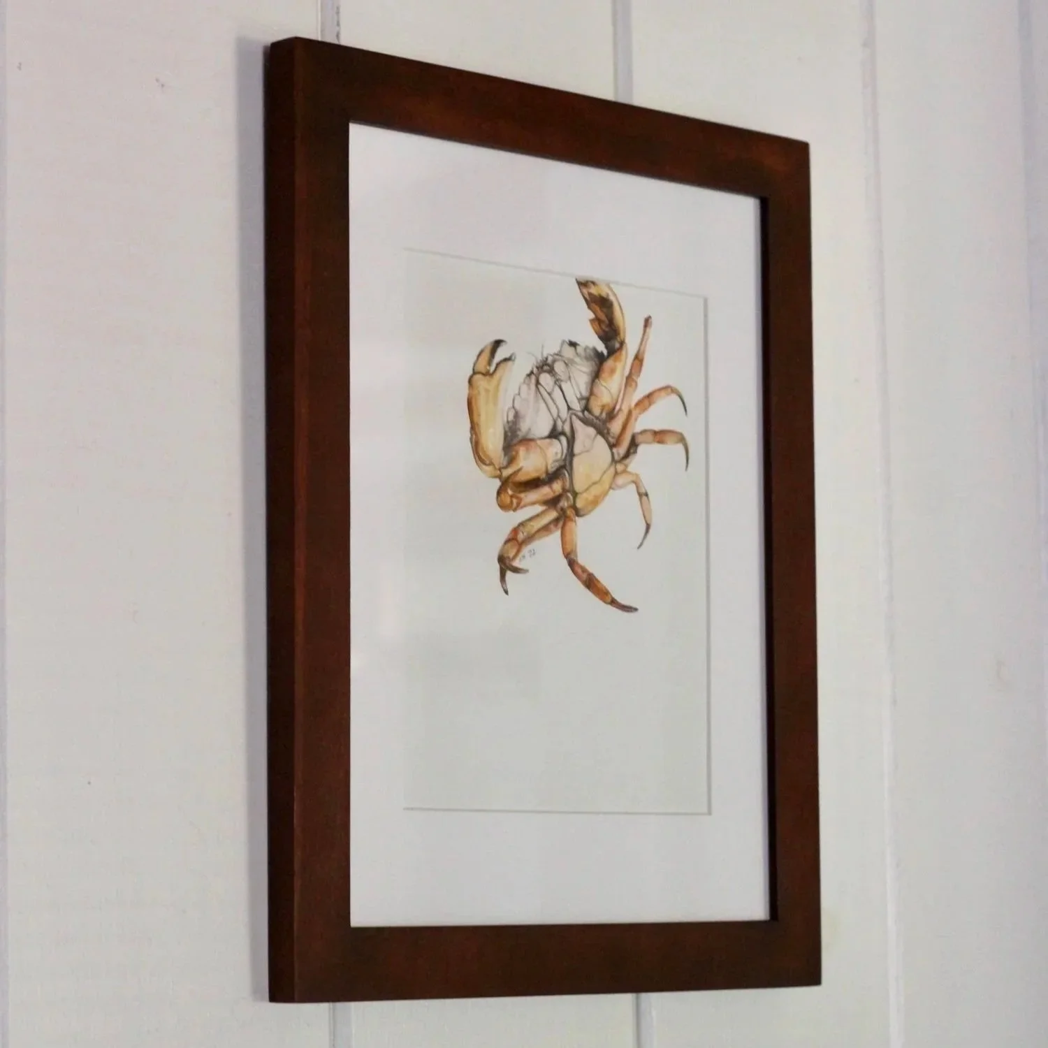 Crab+Print+-+scale+shot.jpg