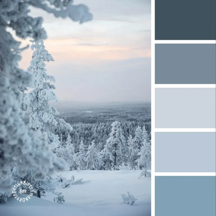 A color pallet of winter blues
