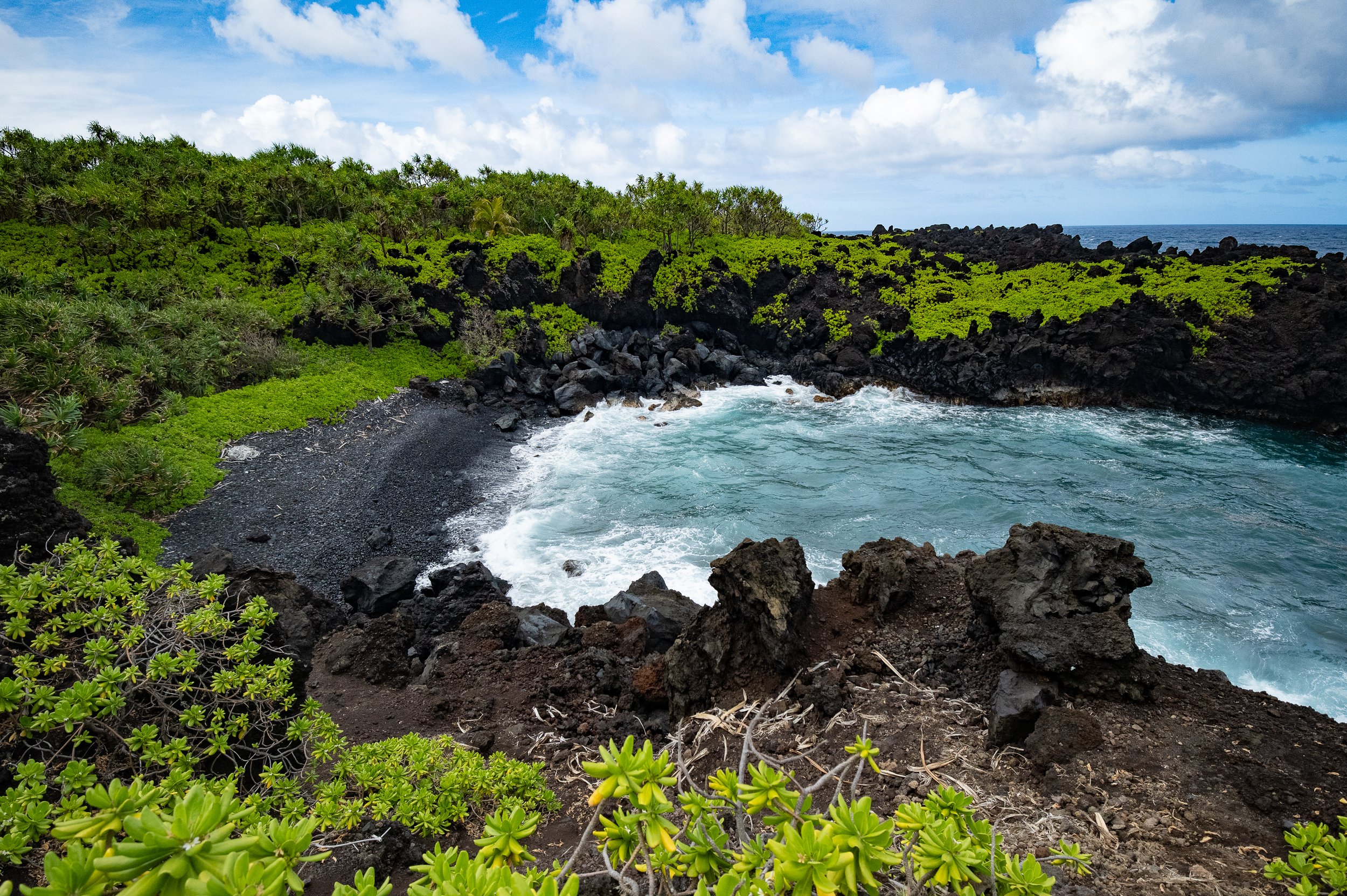 MAUI24-4.jpg