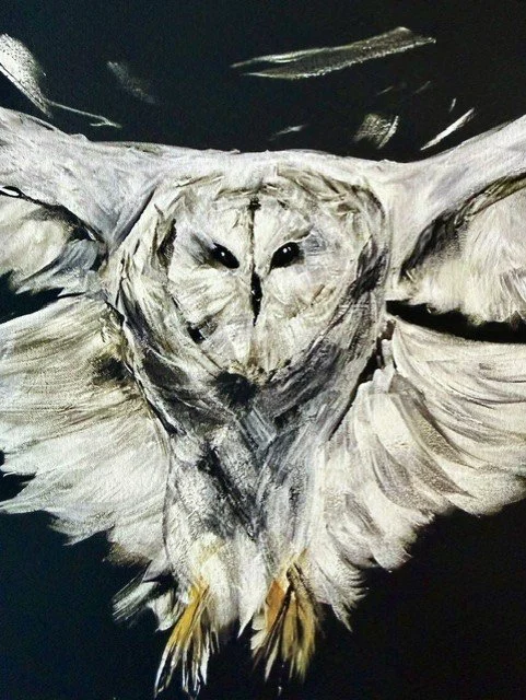 The Owl