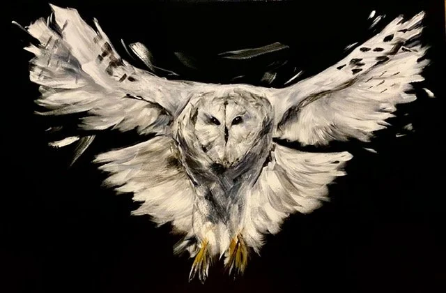 owl2.jpg