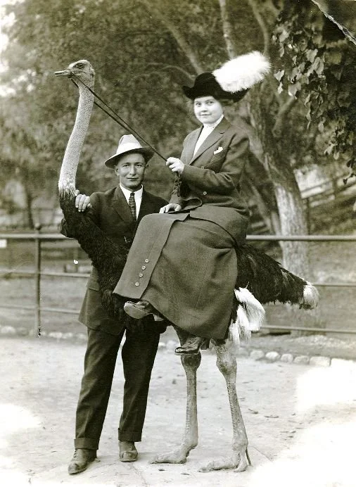 A woman riding an ostrich while holding a whip, accompanied by a man standing beside her, at a zoo or park.