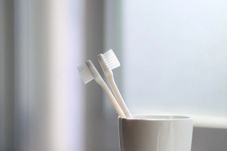 Avoid Dental Plaque Buildup