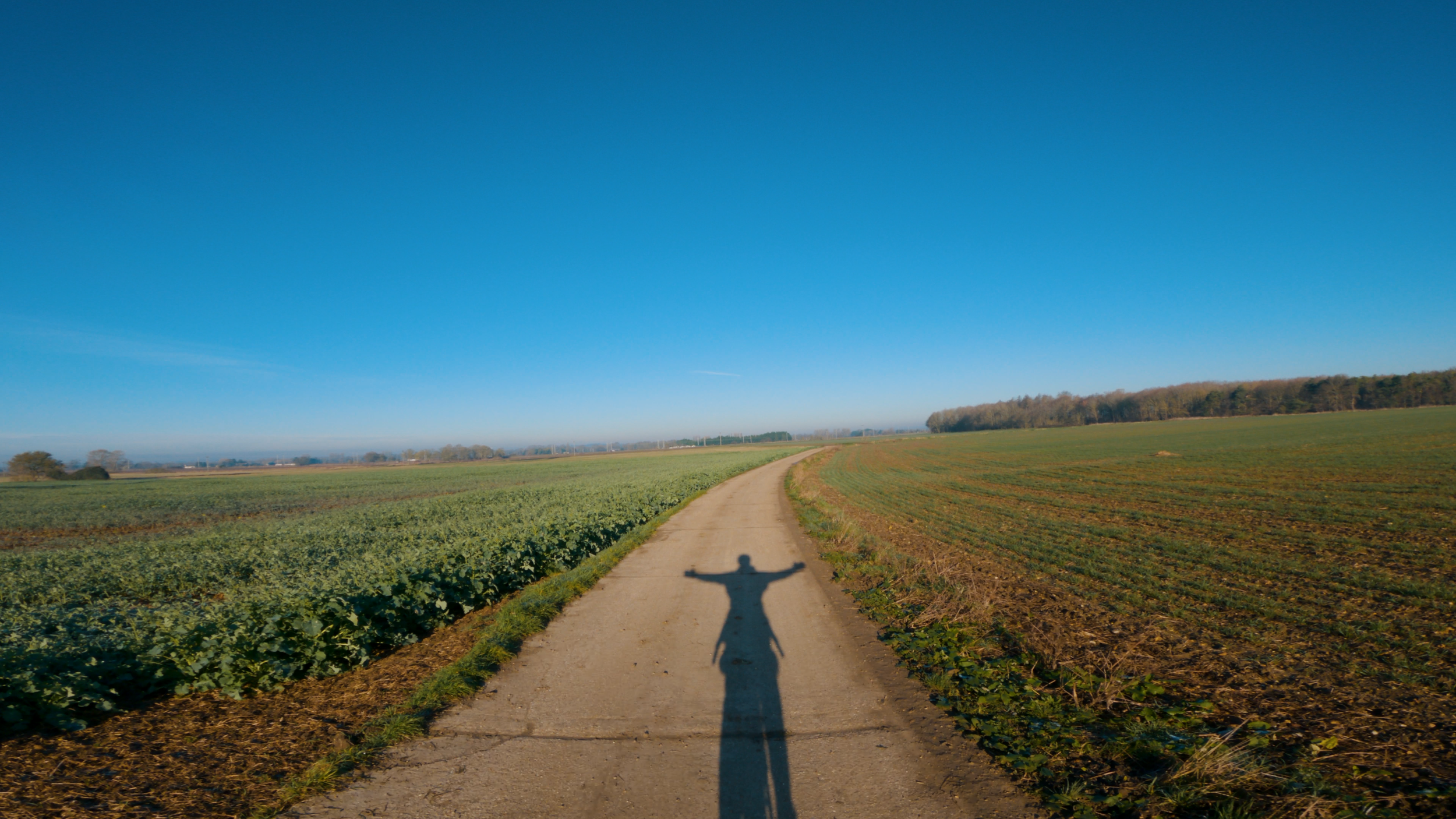 Snapshot 16-03-2024 12:19.PNG