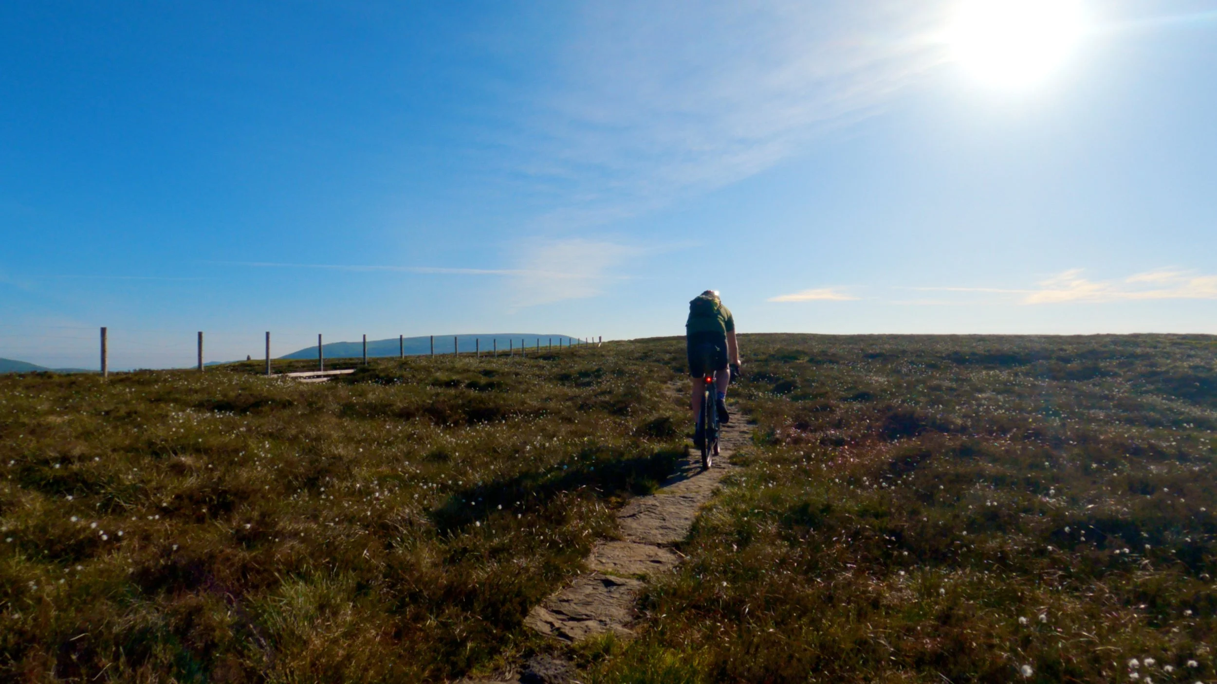 Fence to left is scotland boarder.jpg