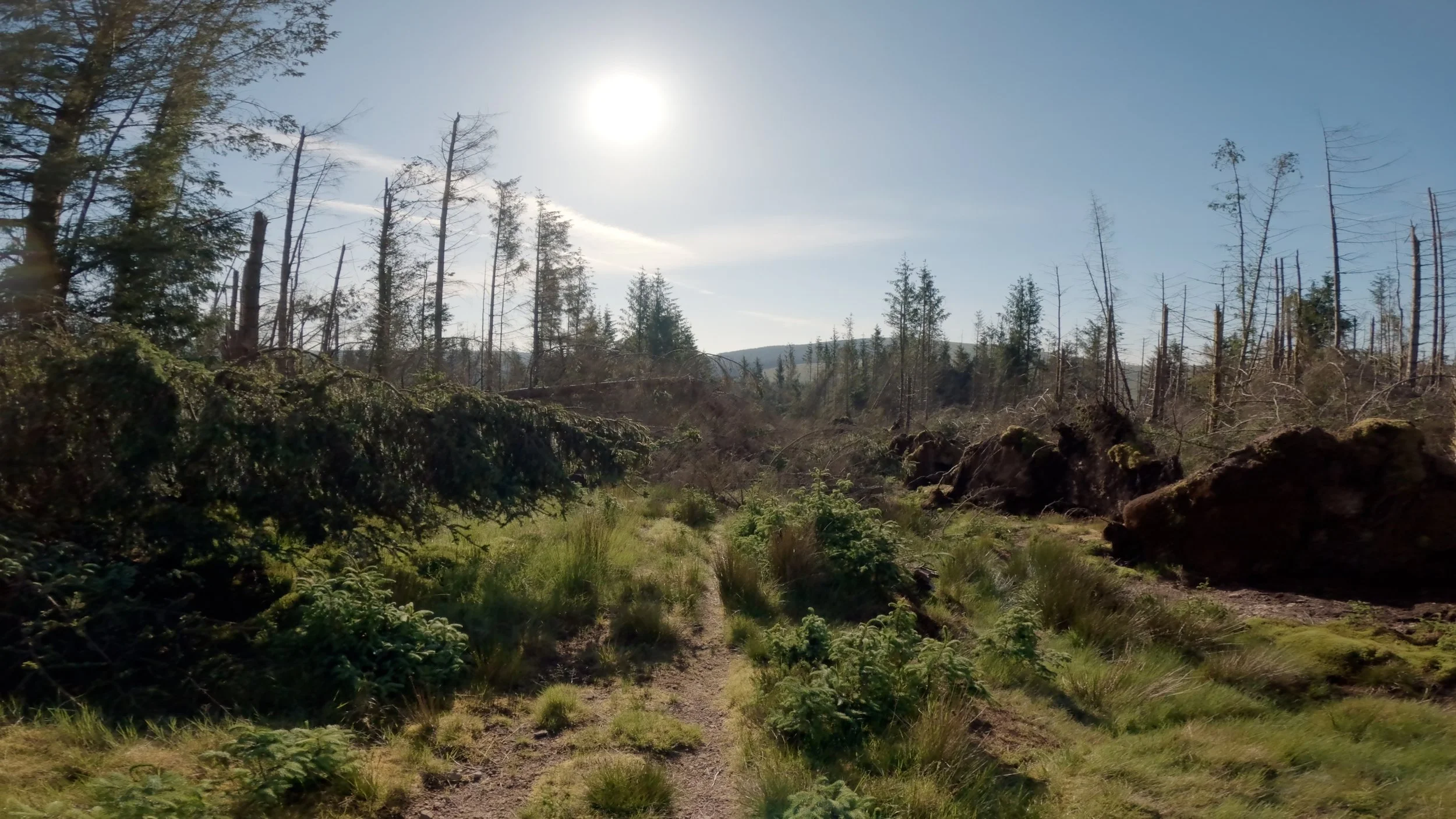 blocked bridle way.jpg