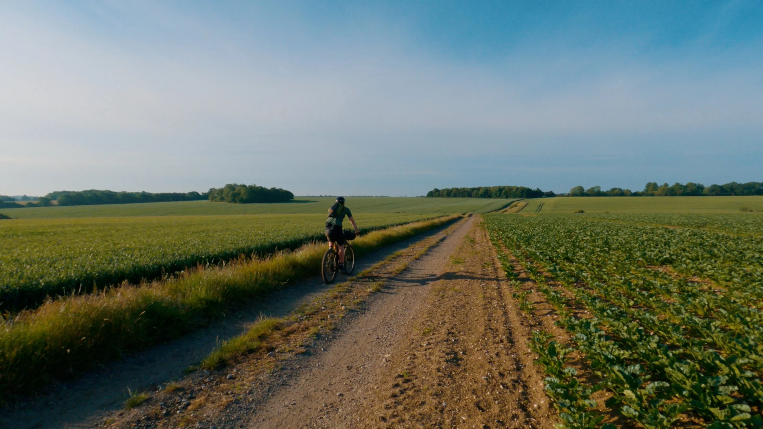 farm tracks towards stanstead st margrets.jpg