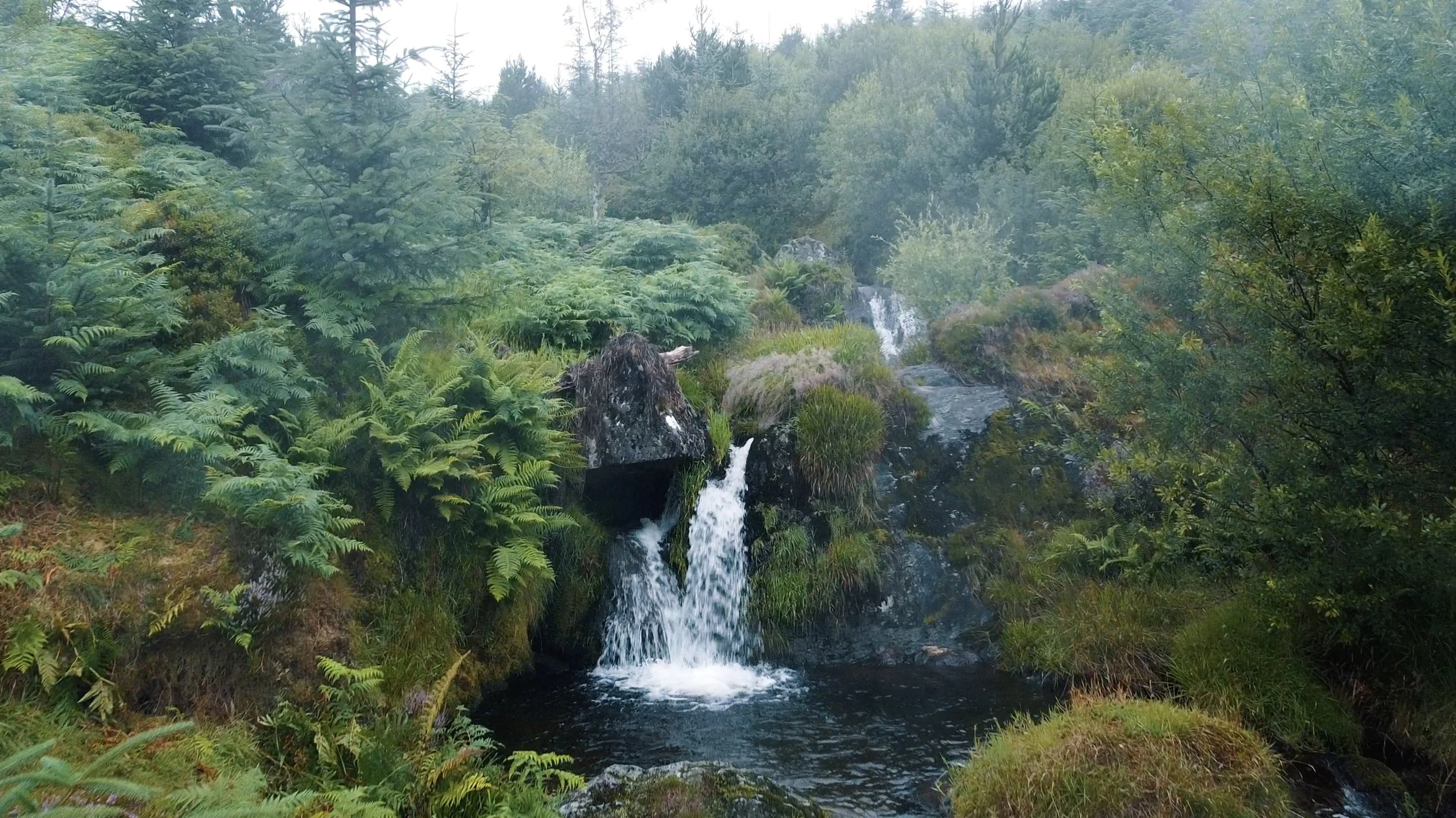 Snapshot%2003-08-2025%2019%3A42 2 Edited.jpg