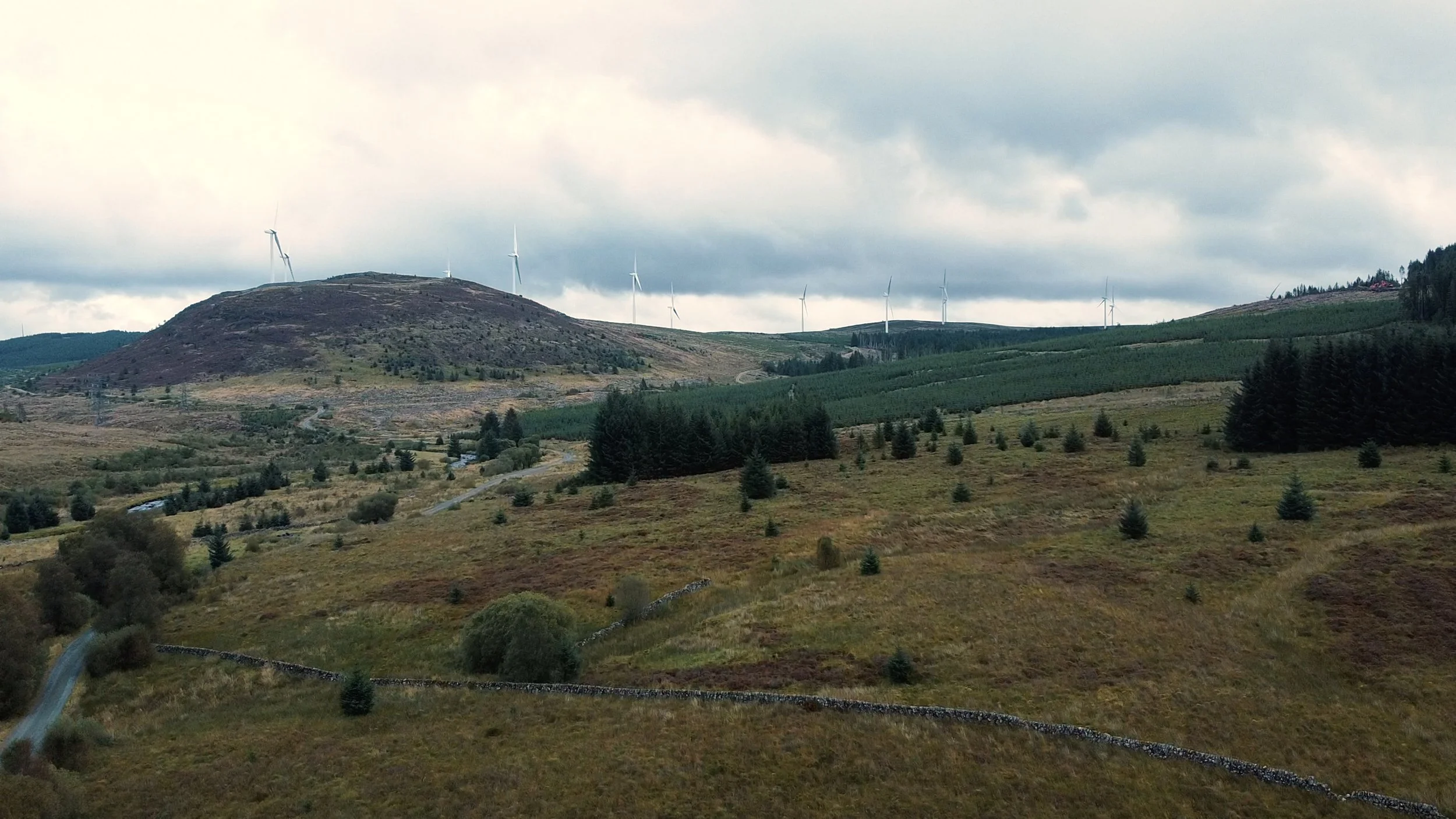 Snapshot%2014-09-2025%2009%3A14 13 Edited.jpg