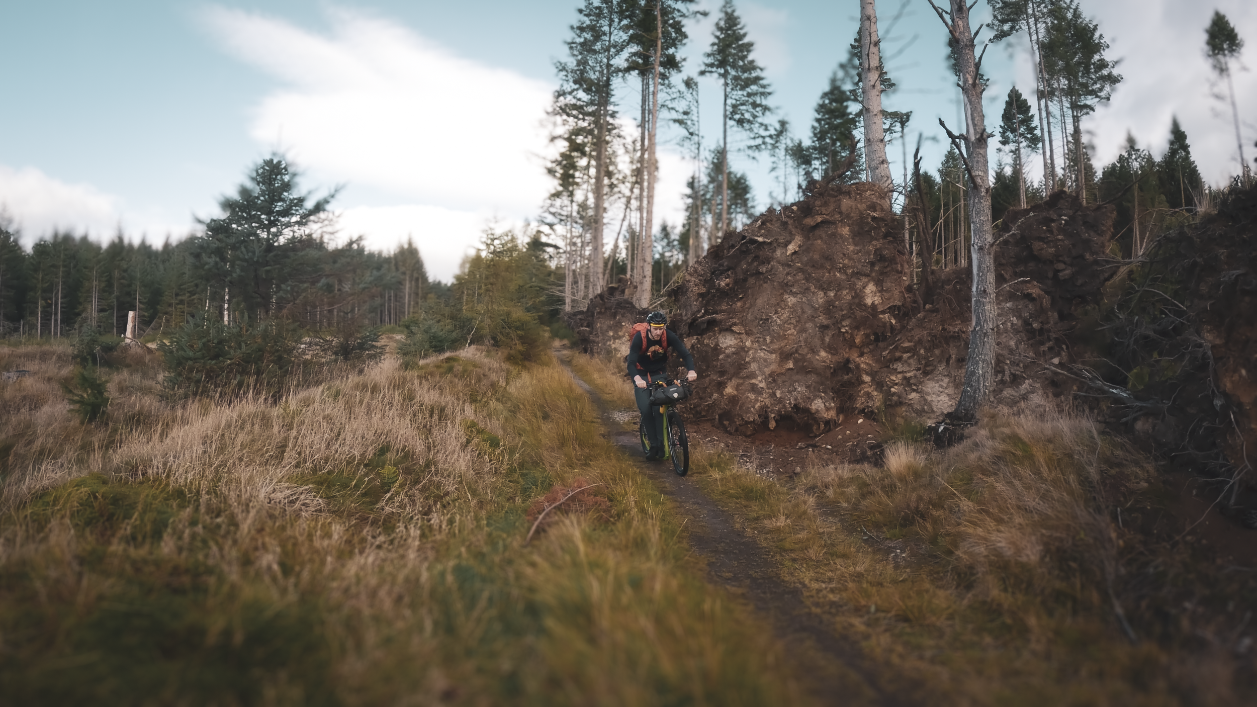 Forest trails scotland.png