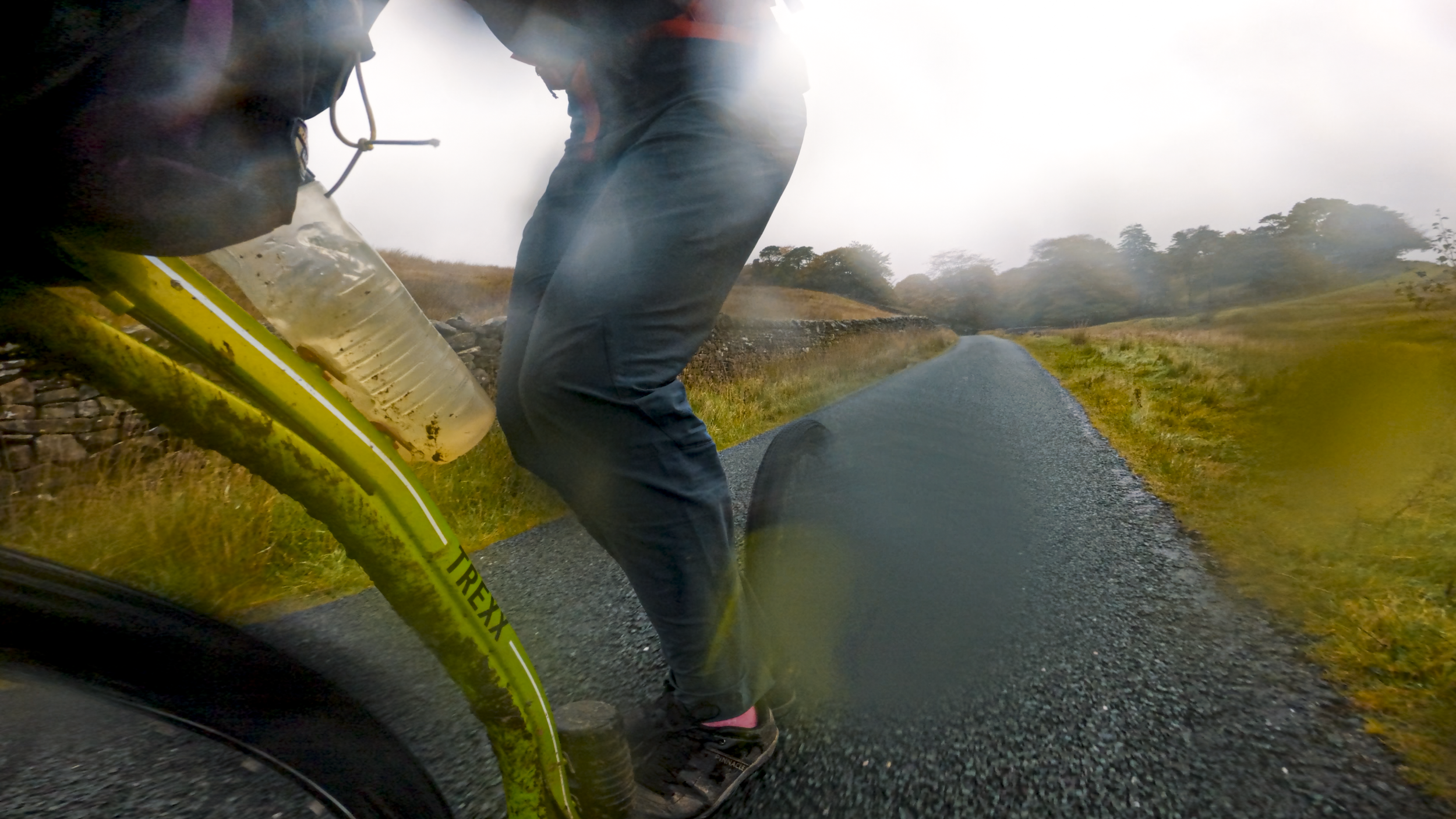 Trexx logo Descent WET.png