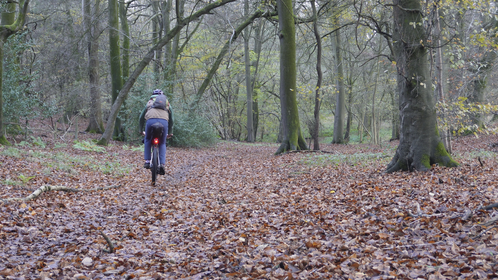 chilterns-11.png