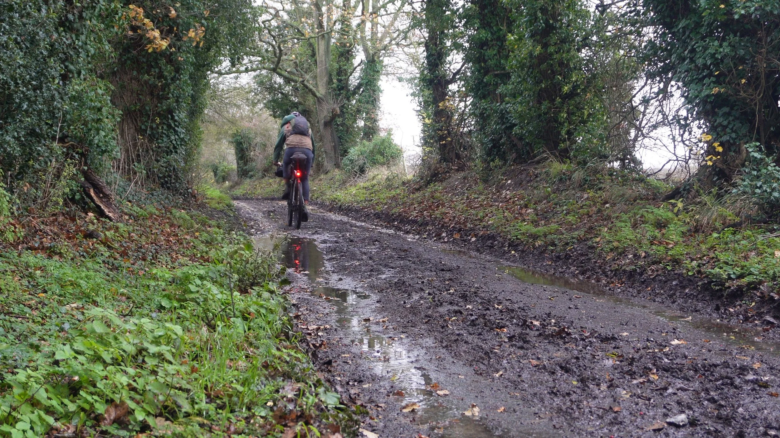 Snapshot 01-01-2026 15_11.jpg