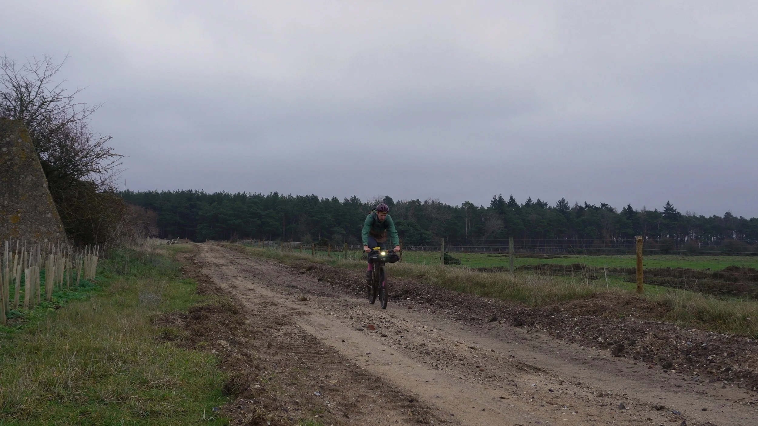 Snapshot 15-12-2025 20_44.jpg