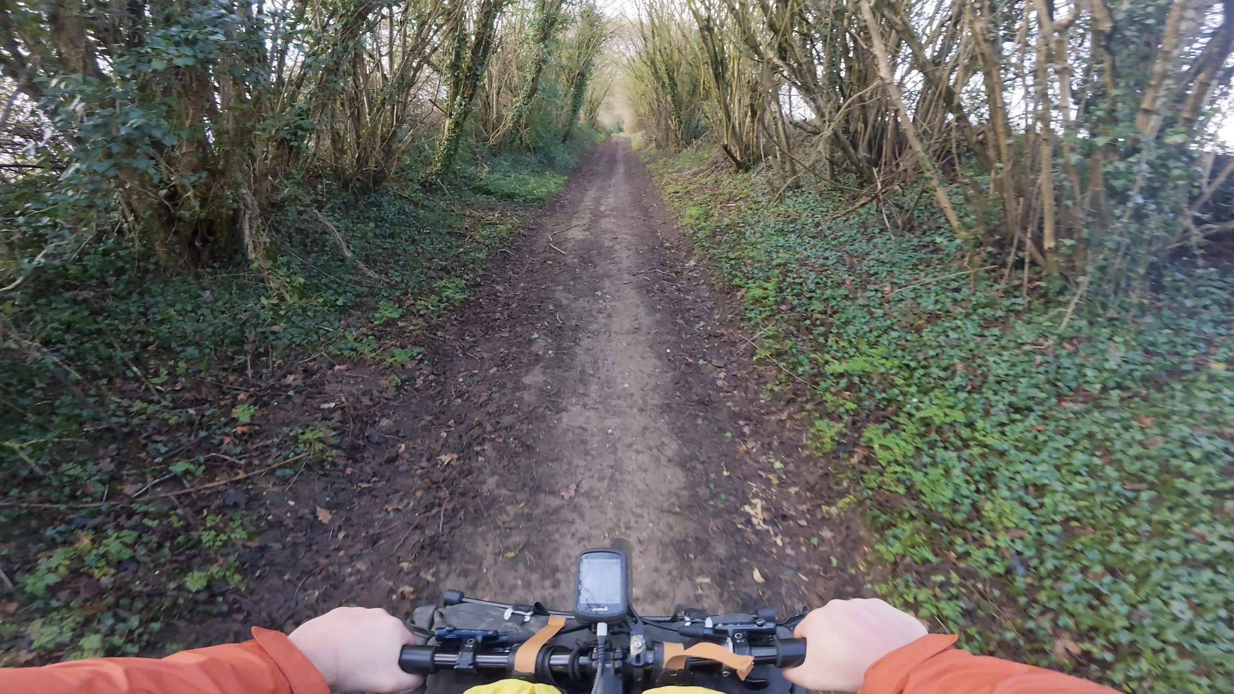 Snapshot%2031-01-2026%2014%3A44 3 Edited.jpg