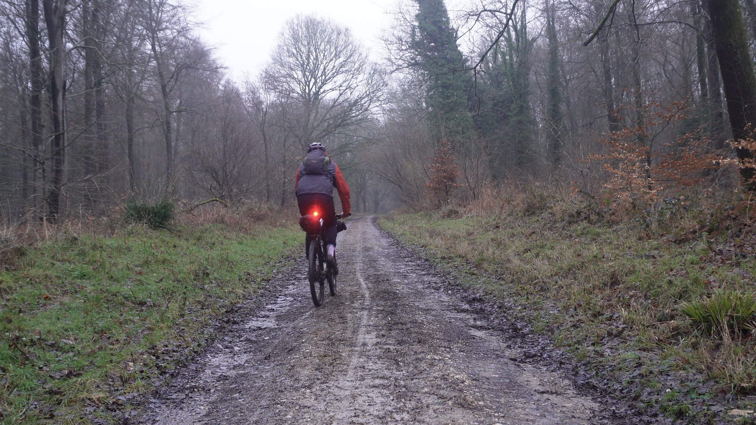 Snapshot%2031-01-2026%2014%3A46 8 Edited.jpg