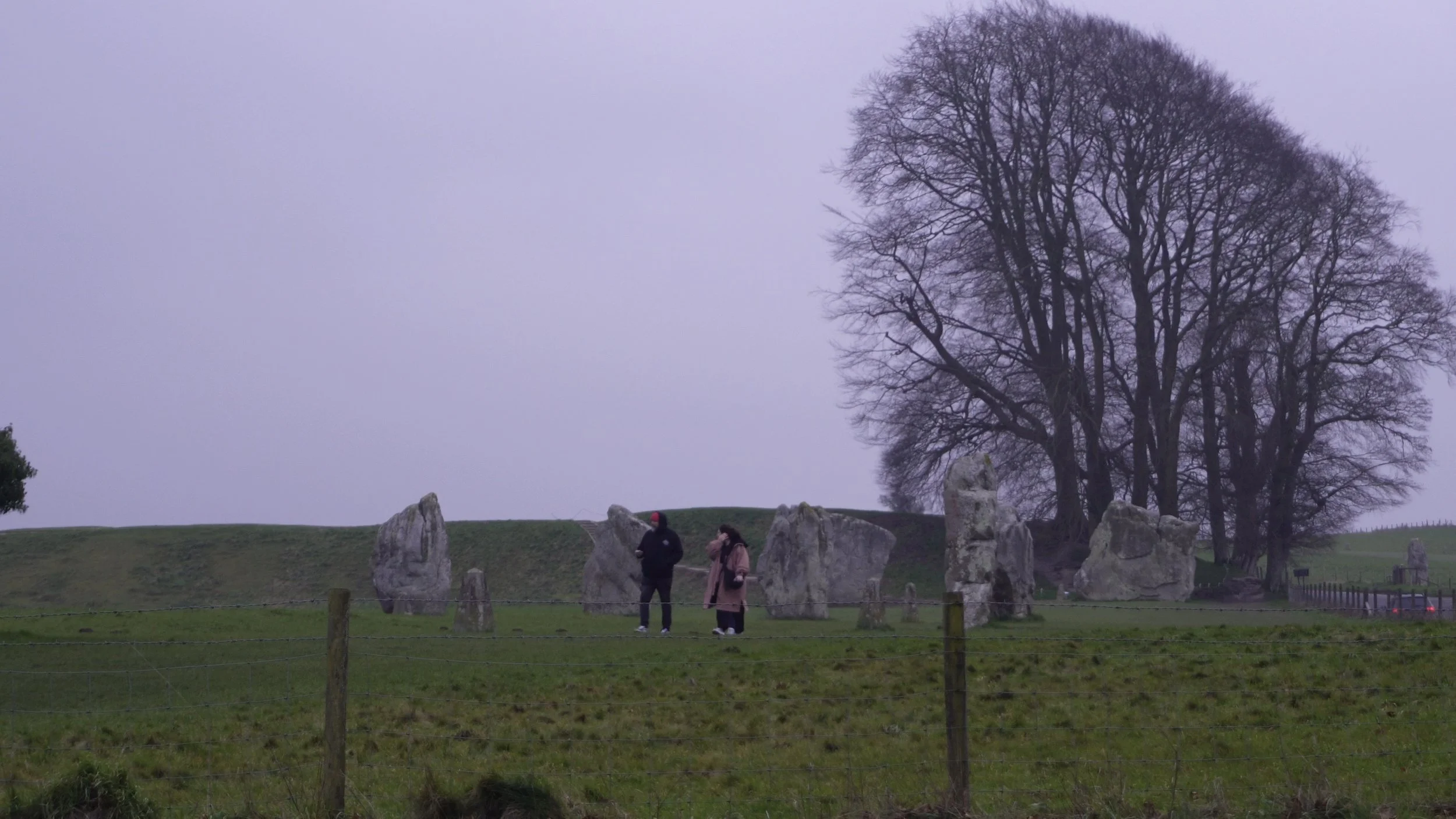 Snapshot%2031-01-2026%2014%3A47 12 Edited.jpg