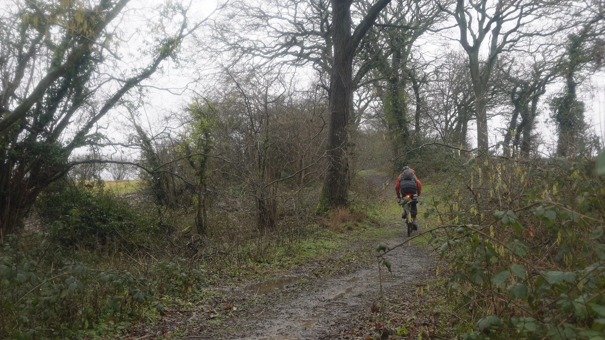 Snapshot%2031-01-2026%2014%3A48 14 Edited.jpg