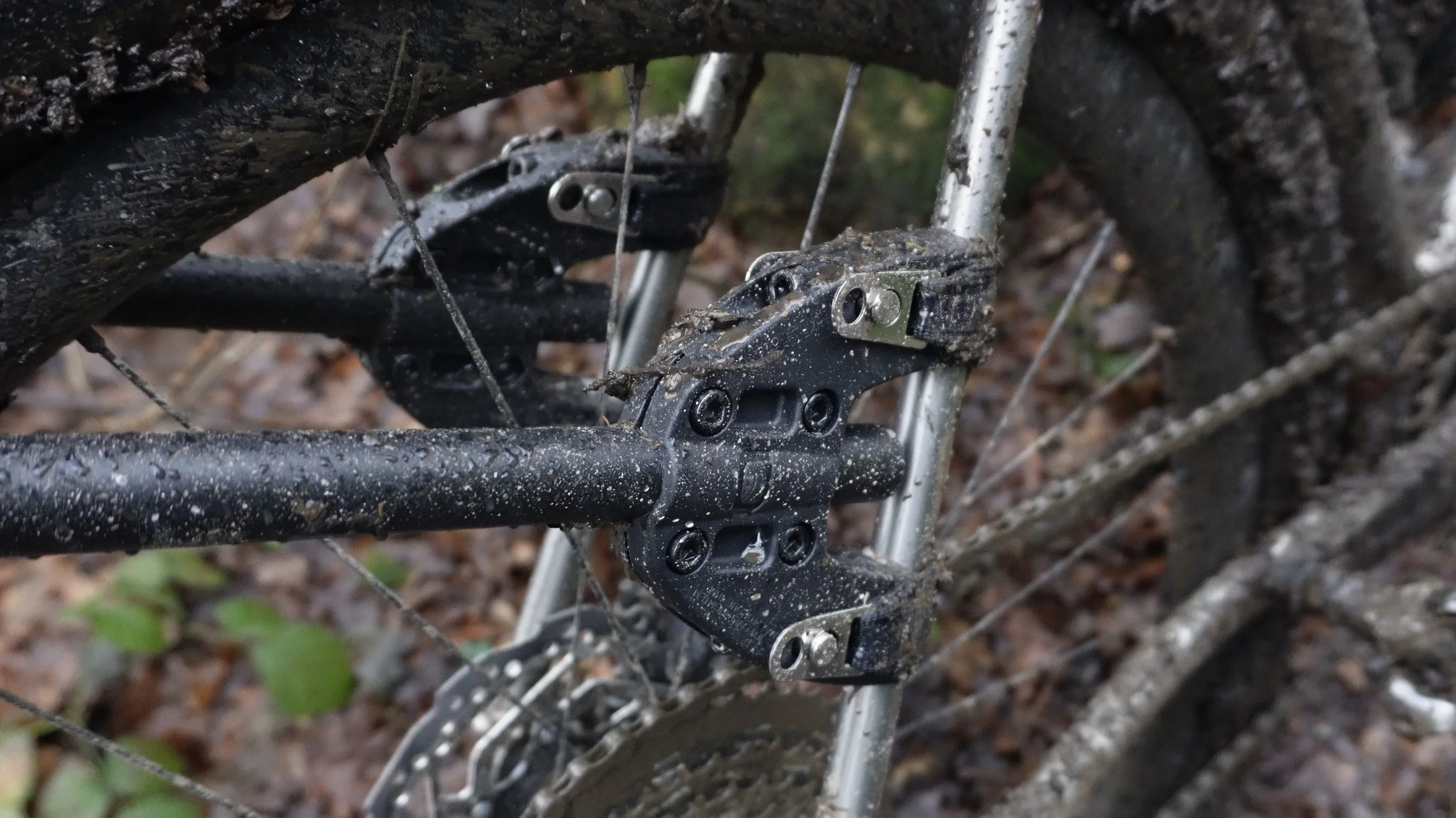 Snapshot%2003-02-2026%2013%3A33 5 Edited.jpeg