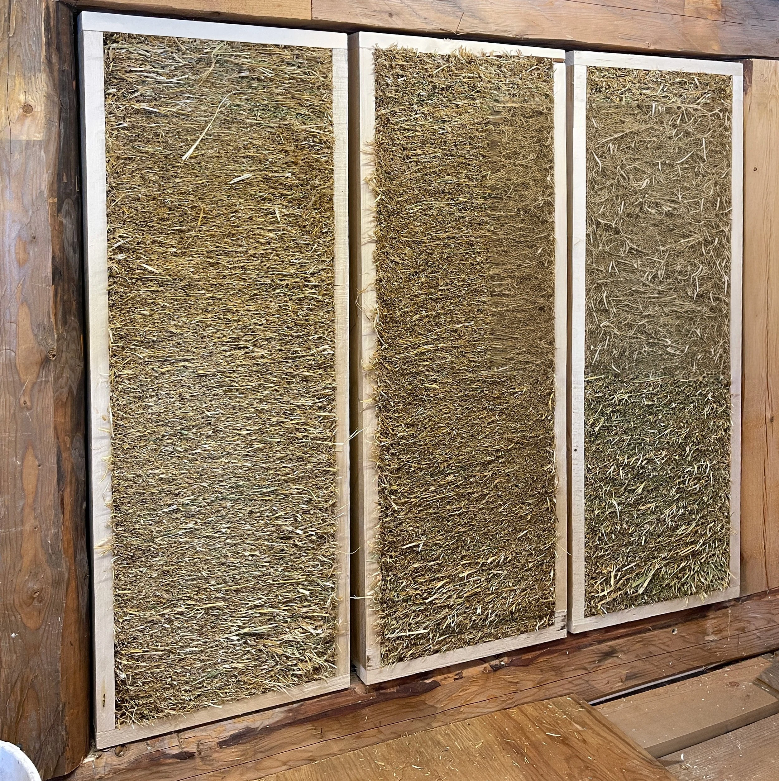 Elementvegg i halm på Folkemuseet. August 2025.