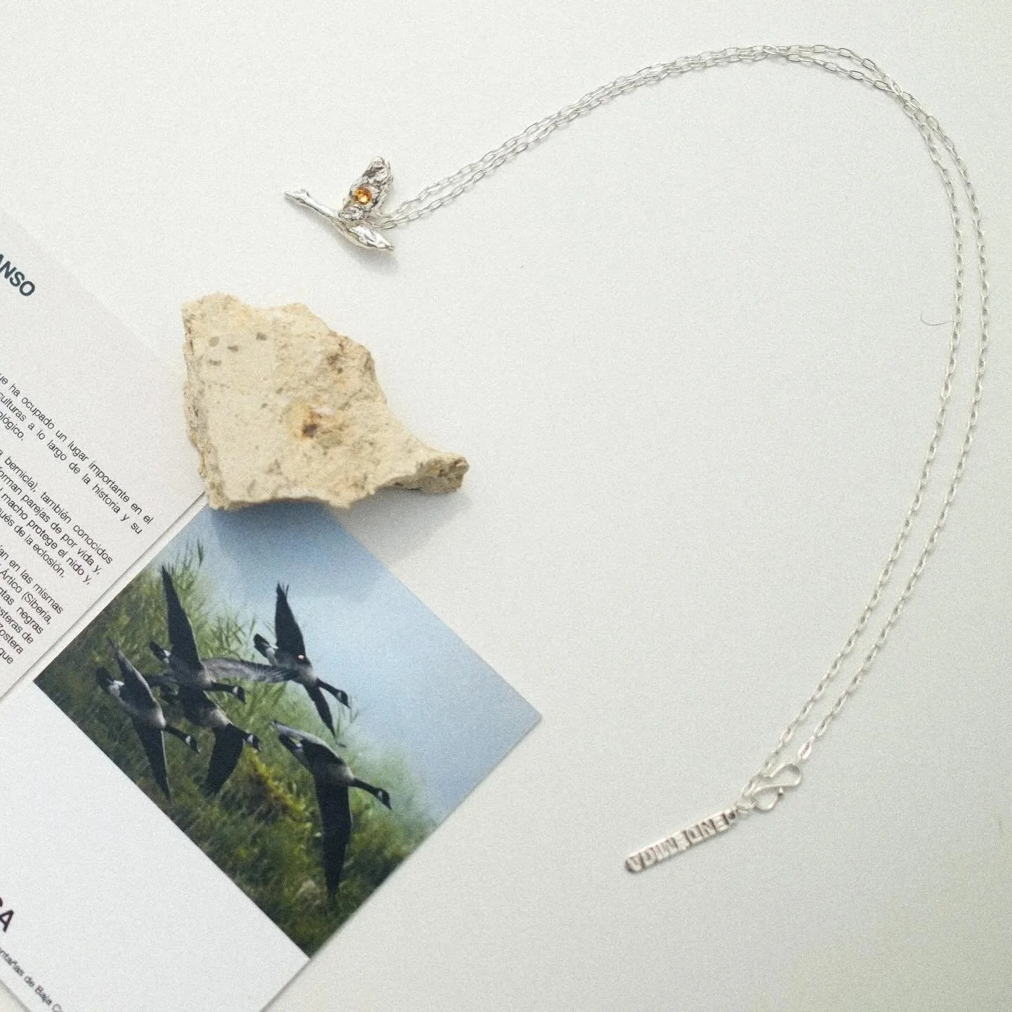 🤍🪿
GANSO
Amor,  transformaci&oacute;n, viaje espiritual, crecimiento.

El ganso es un ave que ha ocupado un lugar importante en el simbolismo de muchas culturas a lo largo de la historia. En la mitolog&iacute;a, representaba la transformaci&oacute;