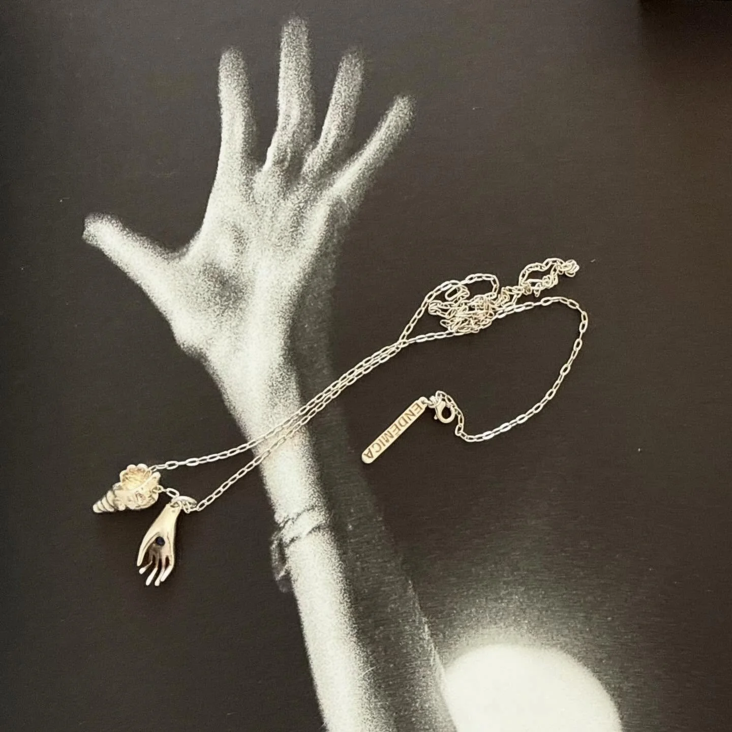 🤍
Amuleto Mano
Amuleto Caracol

#end&eacute;mica #plata