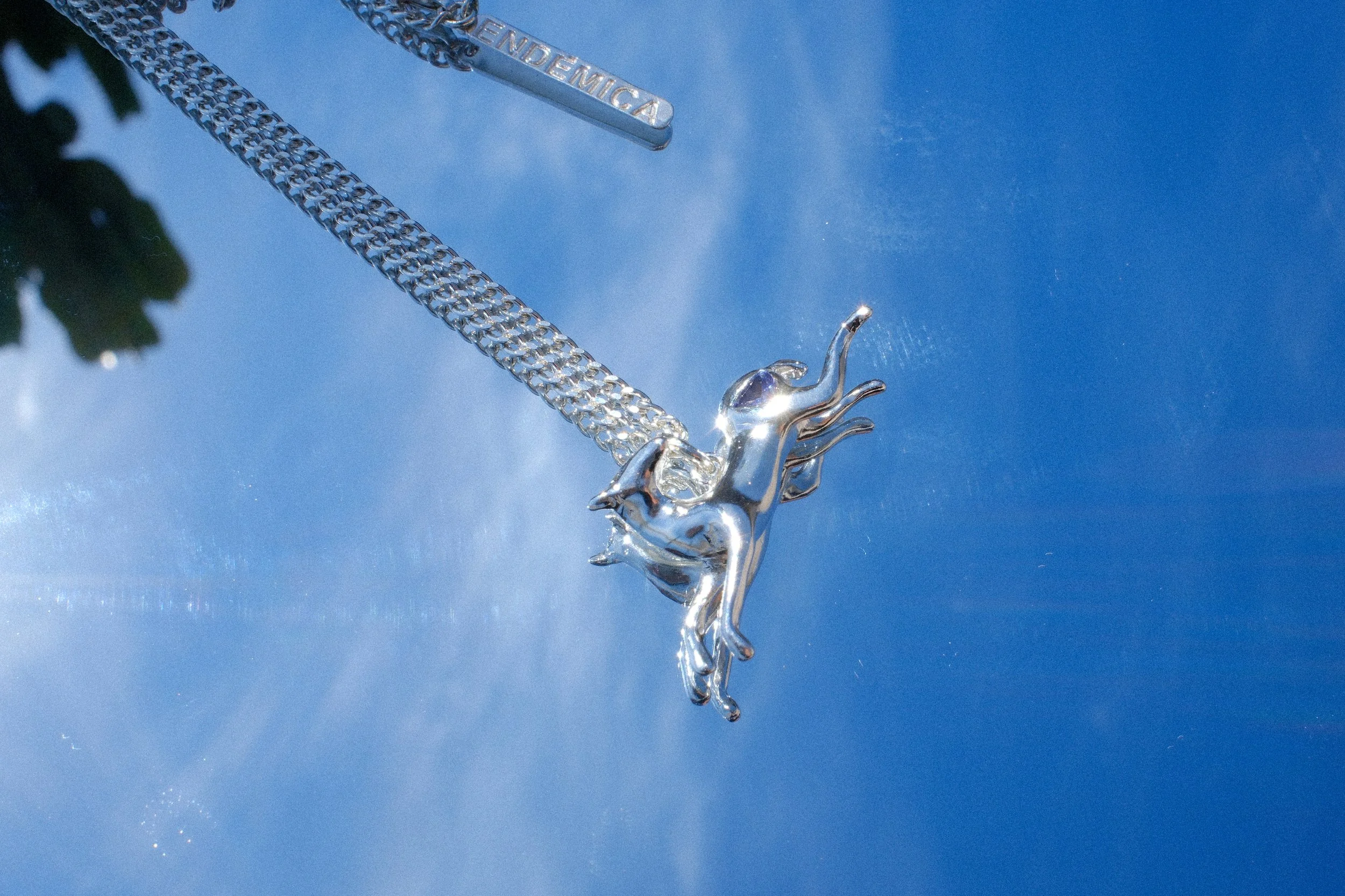 C01.jpg