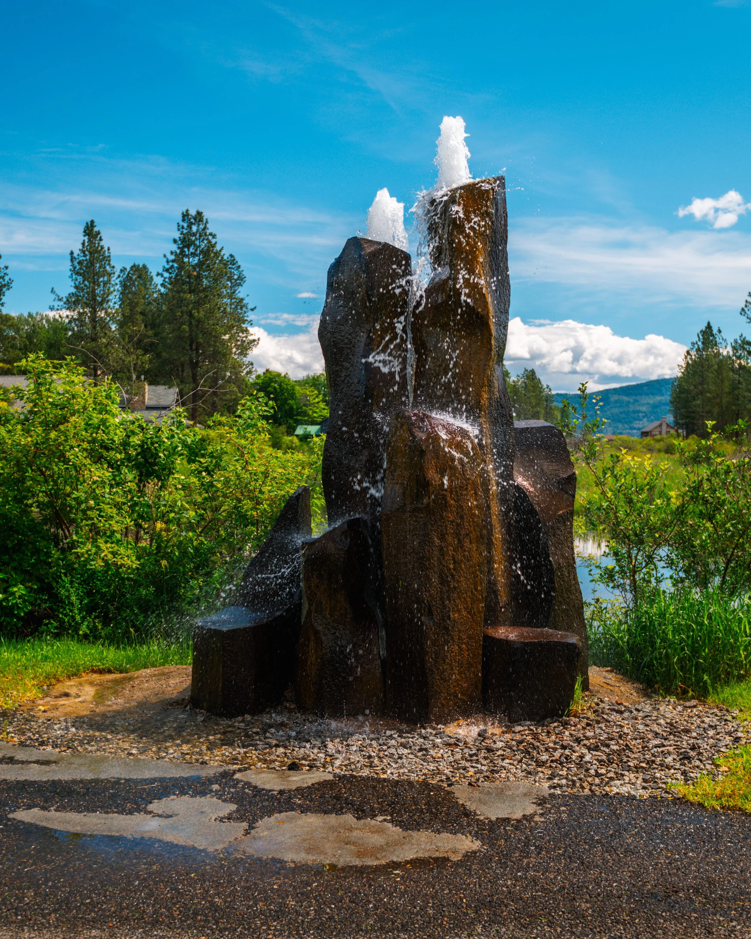 DSC_7882 (1).jpg