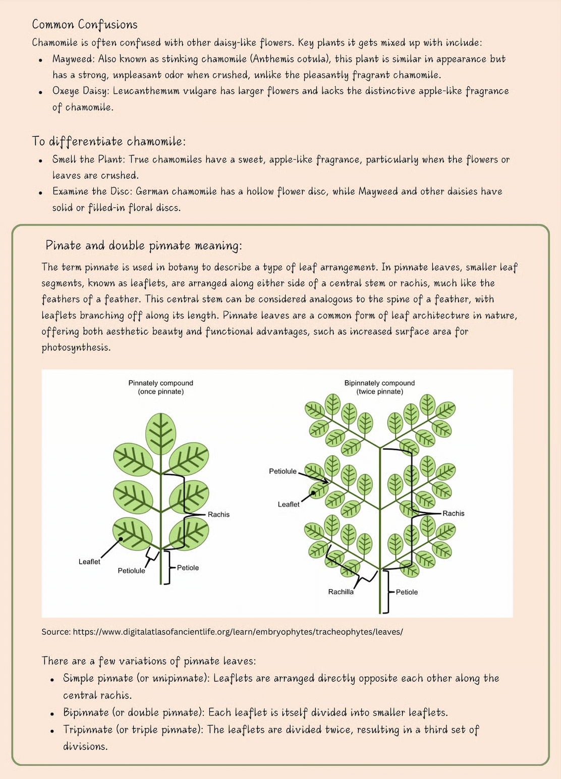 Screenshot 2025-07-30 at 9.27.54 AM.png