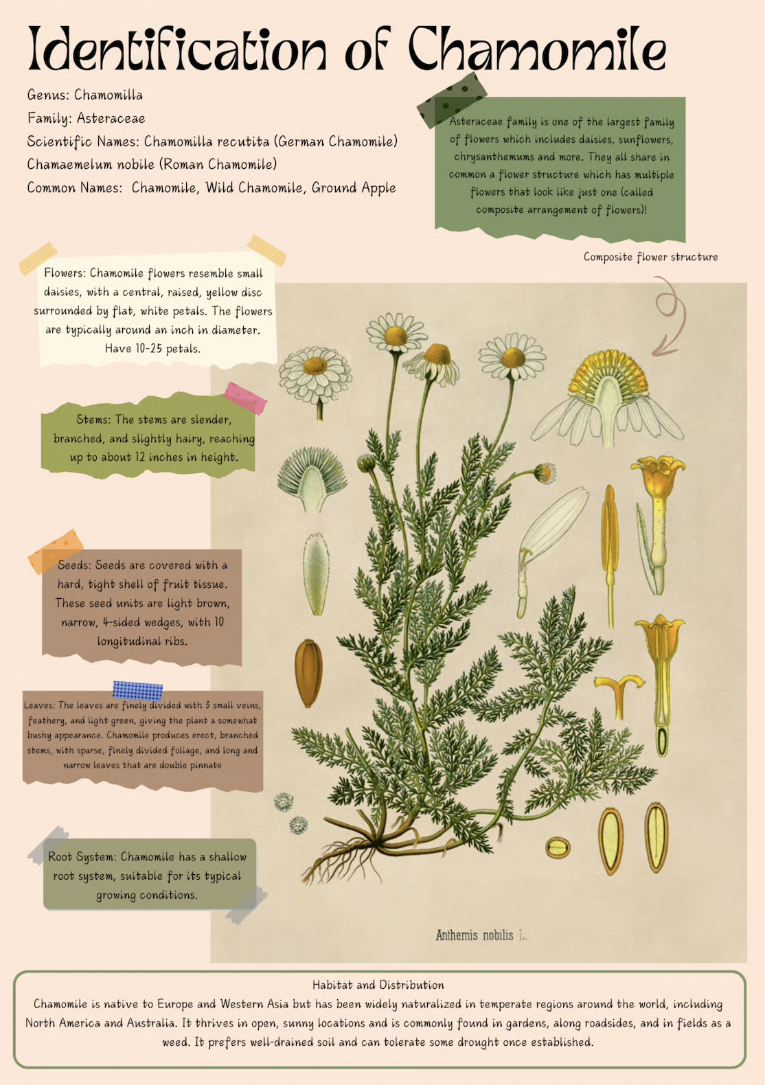 Screenshot 2025-07-30 at 9.27.37 AM.png