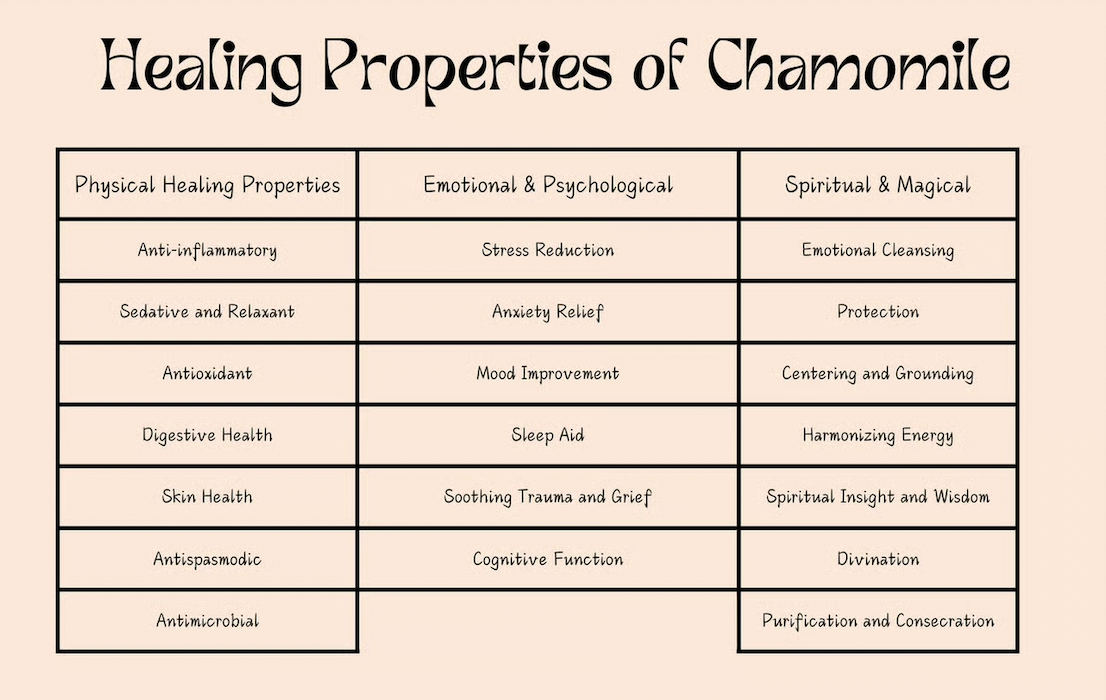 Screenshot 2025-07-30 at 9.28.31 AM.png