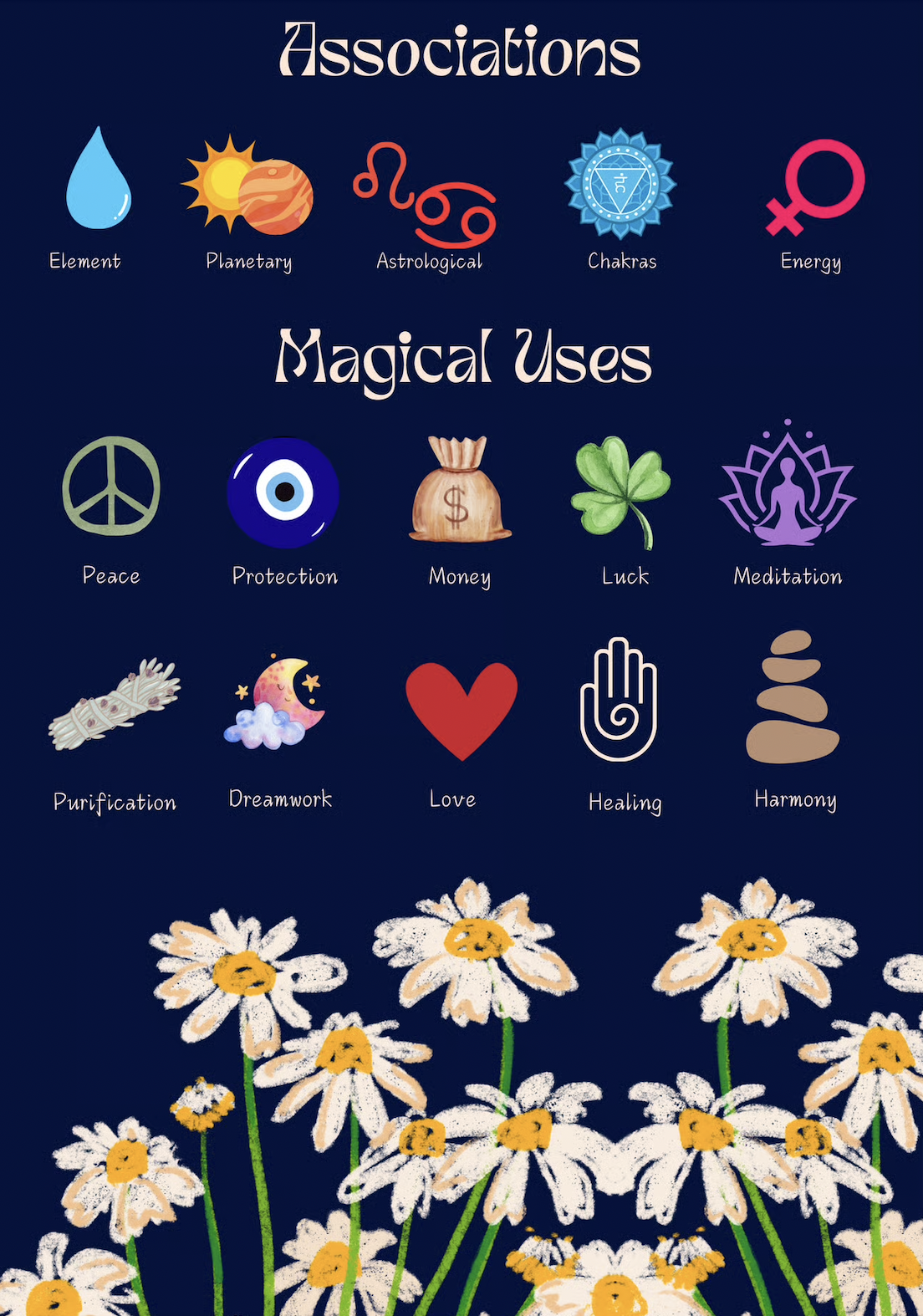 Screenshot 2025-07-30 at 9.28.14 AM.png