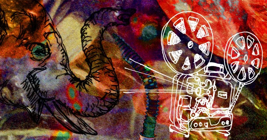 Experimental film screening: “UNRULY FASCIA'‘