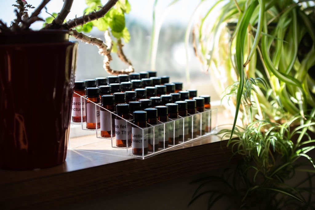 A clear plastic organizer holds small amber glass bottles with black caps, situated on a windowsill surrounded by green houseplants.