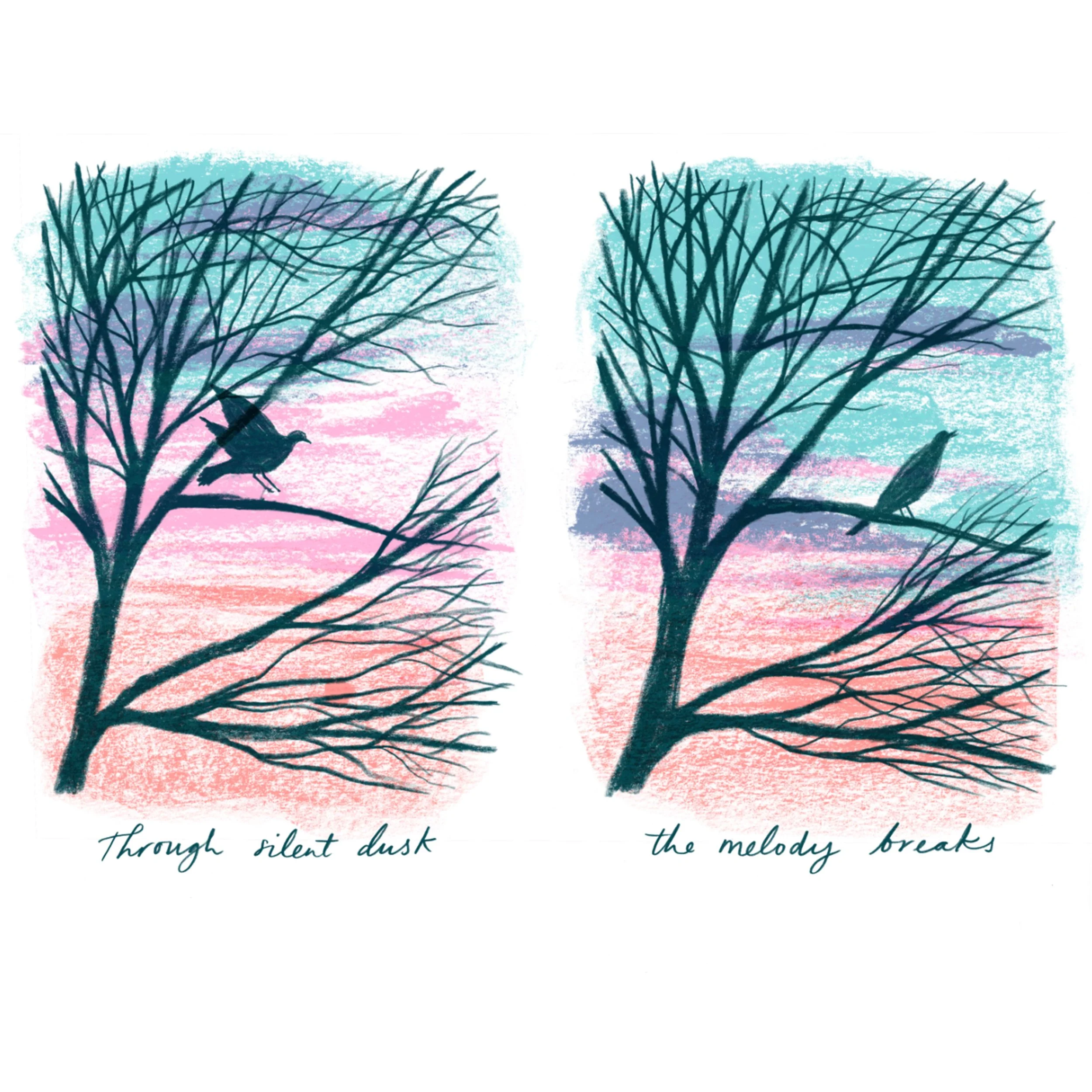 Drawing Club with Hannah Farthing (Tuesday 3rd February)