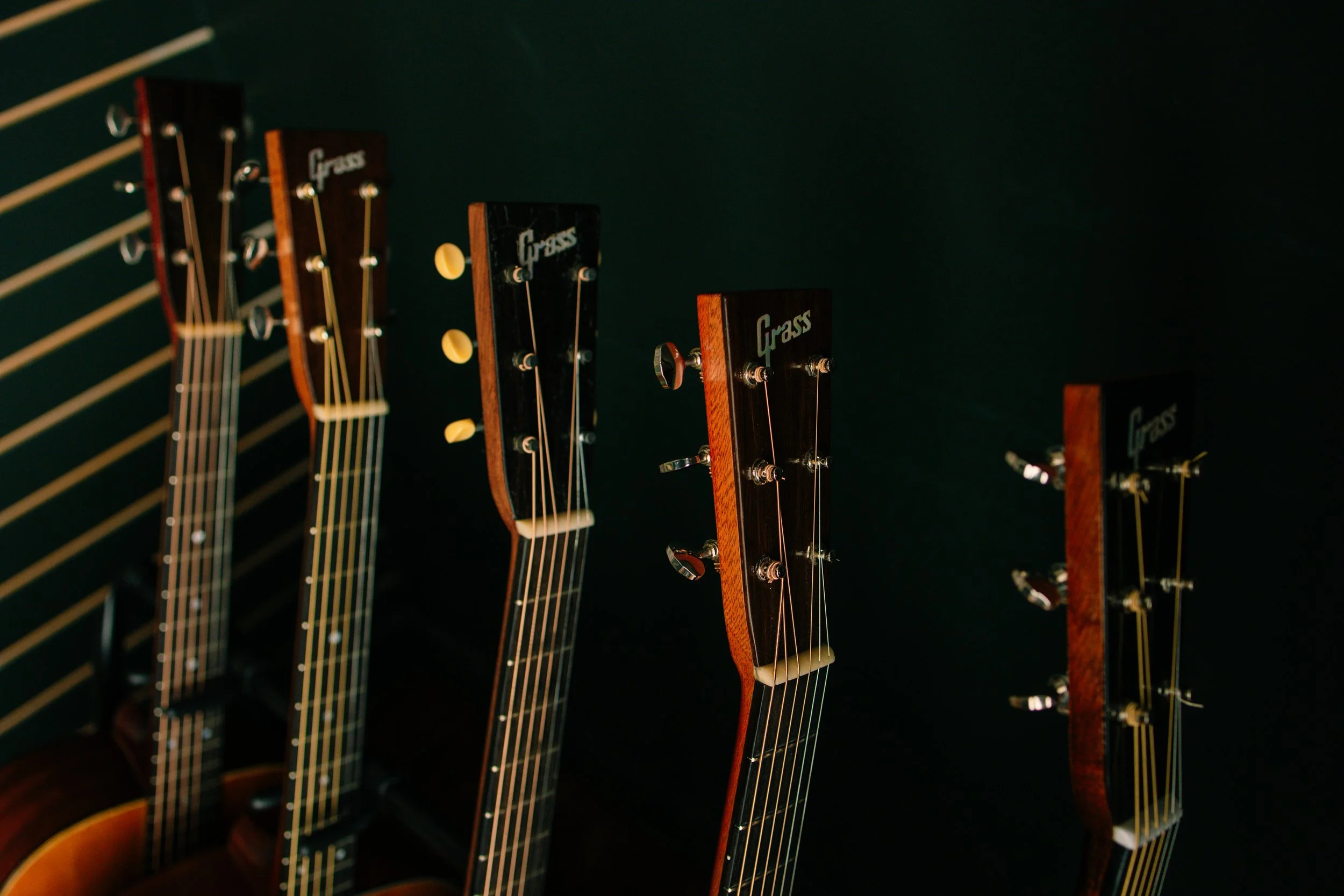 Dahlonega-photographer-grass-guitars-11.jpg