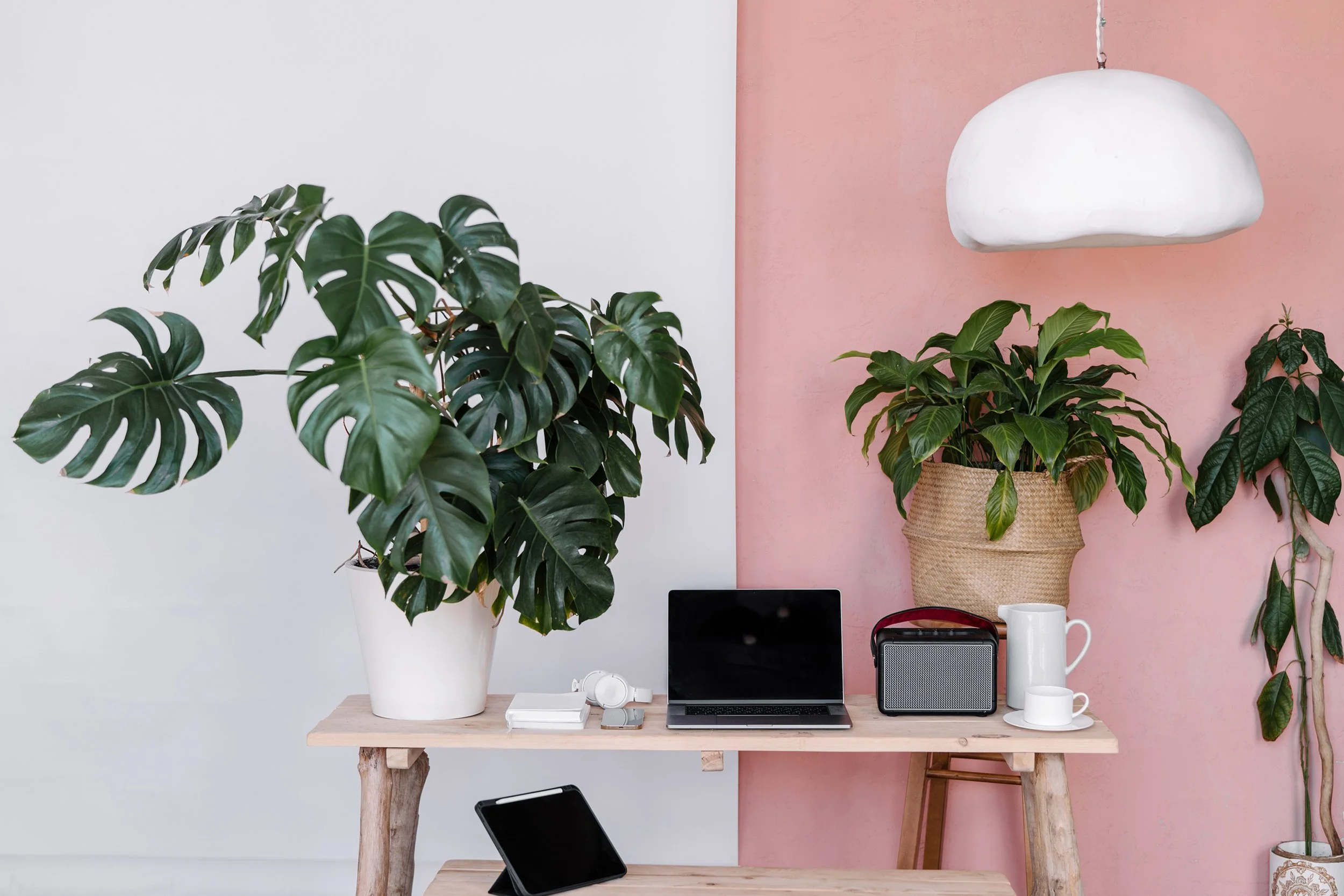 We’re Hiring: Advertising Sales Associate