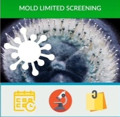 Limited Mold Inspection