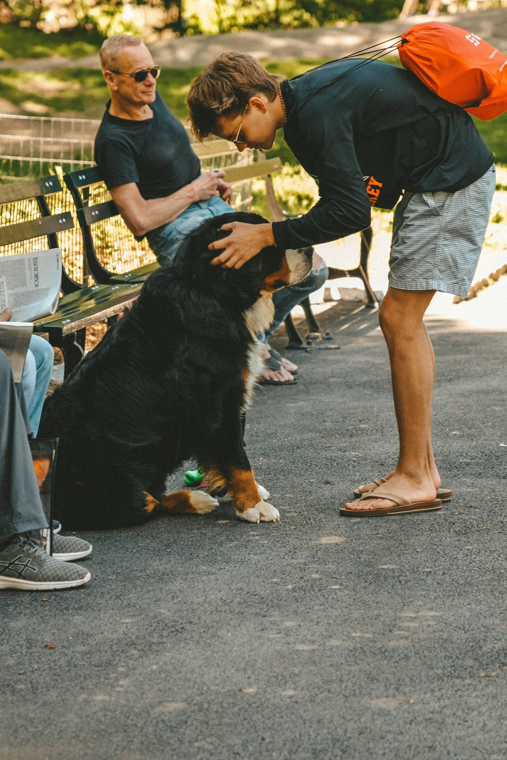 The dogs among us